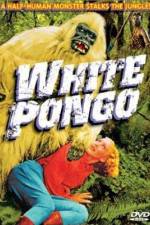 Watch White Pongo 9movies