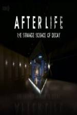 Watch After Life: The strange Science Of Decay 9movies