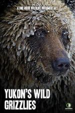 Watch Yukon\'s Wild Grizzlies 9movies