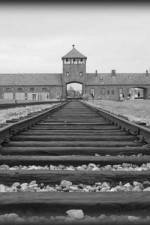 Watch AUSCHWITZ: ORDERS AND INITIATIVES 9movies