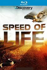 Watch Speed of Life 9movies