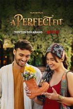 Watch A Perfect Fit 9movies