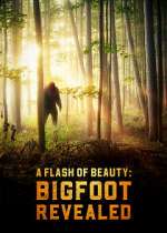 Watch A Flash of Beauty: Bigfoot Revealed 9movies