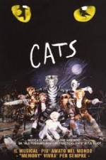 Watch Cats 9movies