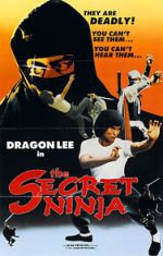 Watch Secret Ninja 9movies
