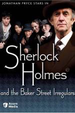 Watch Sherlock Holmes and the Baker Street Irregulars 9movies