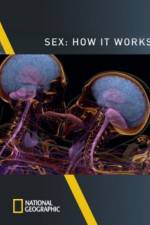 Watch Sex How It Works 9movies