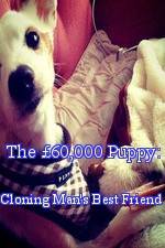 Watch The 60,000 Puppy: Cloning Man's Best Friend 9movies