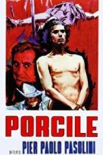 Watch Porcile 9movies