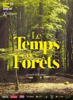 Watch The Time of Forests 9movies