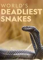 Watch World's Deadliest Snakes 9movies