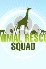 Watch Animal Rescue Squad 9movies
