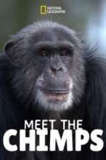 Watch Meet the Chimps 9movies