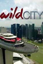 Watch Wild City 9movies