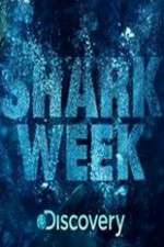 Watch Shark Week 9movies