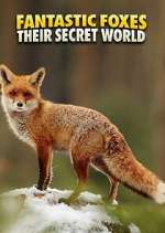 Watch Fantastic Foxes: Their Secret World 9movies