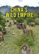 Watch China's Wild Empire 9movies