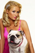 Watch Paris Hilton's British Best Friend 9movies