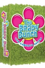 Watch The Brady Bunch 9movies