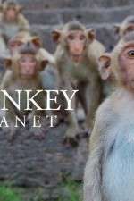 Watch Monkey Planet 9movies