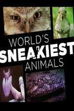 Watch World's Sneakiest Animals 9movies