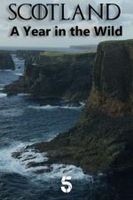 Watch Scotland: A Wild Year 9movies