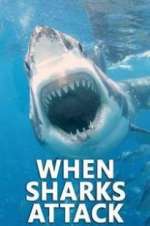 Watch When Sharks Attack 9movies
