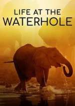 Watch Life at the Waterhole 9movies