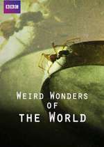 Watch Weird Wonders of the World 9movies