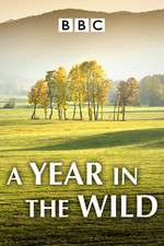 Watch A Year in the Wild 9movies