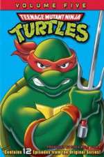 Watch Teenage Mutant Ninja Turtles 9movies