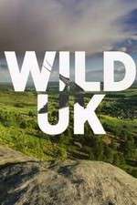 Watch Wild UK 9movies