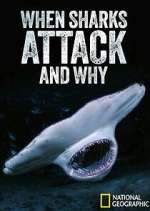 Watch When Sharks Attack... And Why 9movies