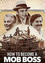 Watch How to Become a Mob Boss 9movies