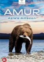 Watch Amur Asia's Amazon 9movies