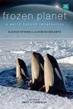 Watch Frozen Planet 9movies