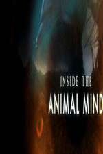 Watch Inside the Animal Mind 9movies