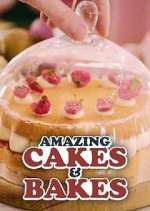 Watch Amazing Cakes & Bakes 9movies