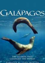 Watch Galapagos 9movies