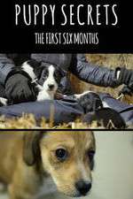 Watch Puppy Secrets: The First Six Months 9movies