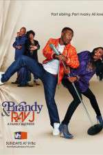 Watch Brandy and Ray J: A Family Business 9movies