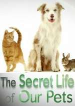 Watch The Secret Life of Our Pets 9movies