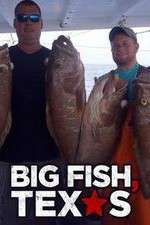 Watch Big Fish Texas 9movies