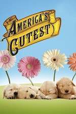 Watch America's Cutest 9movies