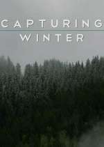 Watch Capturing Winter 9movies