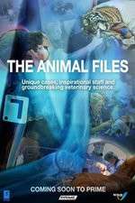 Watch The Animal Files 9movies