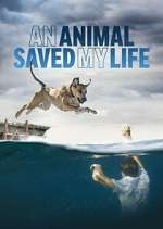 Watch An Animal Saved My Life 9movies