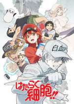 Watch Cells at Work! 9movies