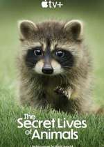 Watch The Secret Lives of Animals 9movies