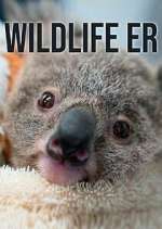 Watch Wildlife ER 9movies